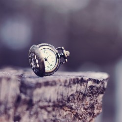 Lost Time & The Art of Survival